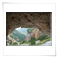 Alpentour Ligurien