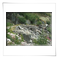 Alpentour Ligurien