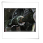Willy�s Jeep