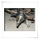 Willy�s Jeep
