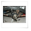 Willy�s Jeep